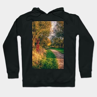 Afternoon Stroll Hoodie